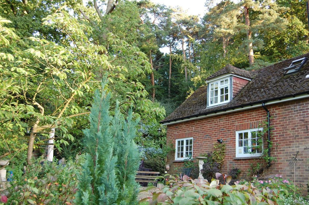 Appartement The Haven At Talysarn à Ascot  Chambre photo